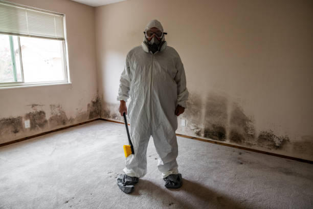 Best Professional Mold Removal  in Litchfield, MI